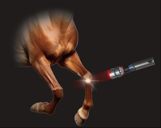 Equine Laser Therapy for Wrist Arthritis（images 1）