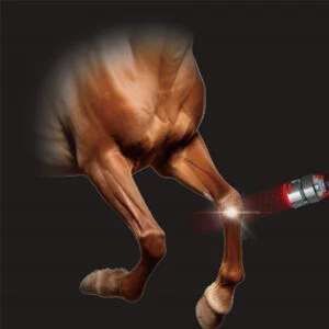 Laserterapia equina per l'artrite del polso