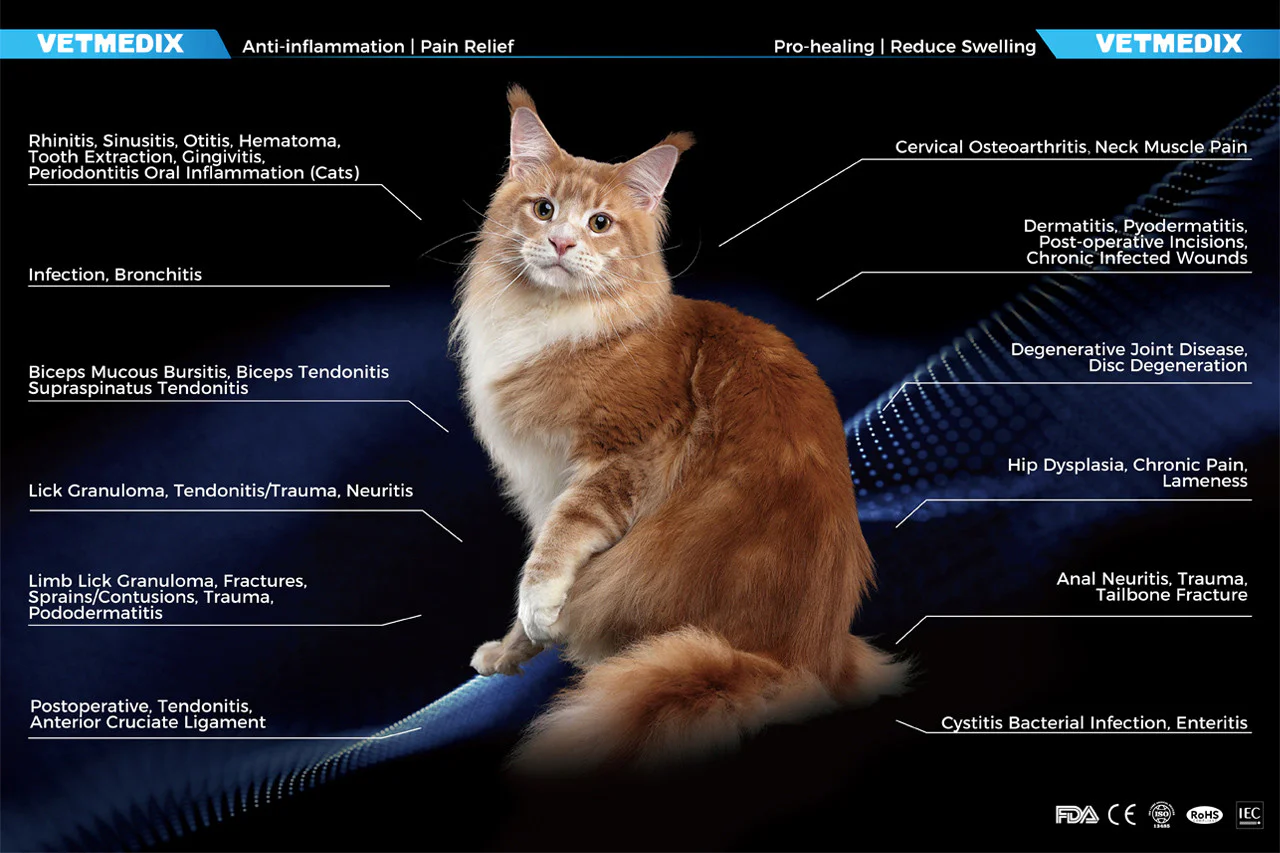 VETMEDIX-Ultra（images 3）