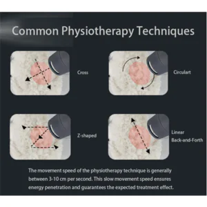 Veterinary laser therapy machine for Accelerate...