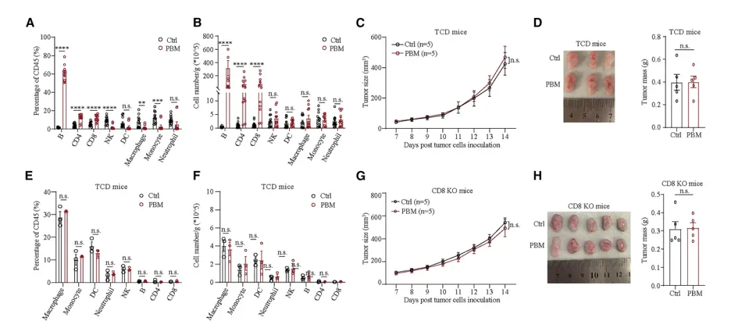 Una soluzione rivoluzionaria a livello globale per il trattamento del cancro! Innovativa terapia antitumorale laser: la ricerca di Fotonmedix pubblicata su una rivista affiliata a Cell (4 immagini)