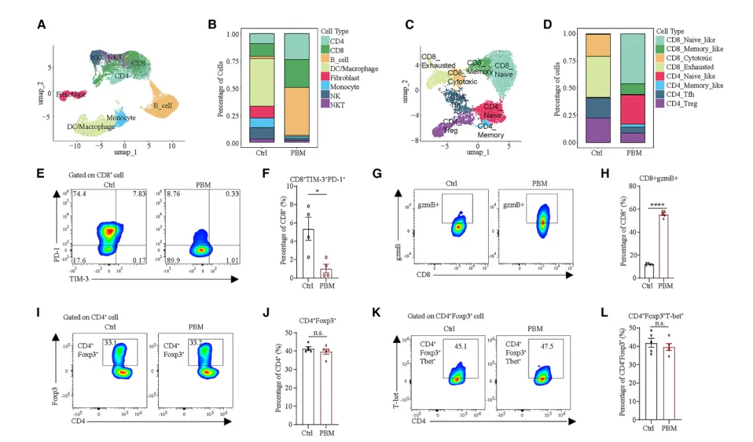 Una soluzione rivoluzionaria a livello globale per il trattamento del cancro! Innovativa terapia antitumorale laser: la ricerca di Fotonmedix pubblicata su una rivista affiliata a Cell (5 immagini)
