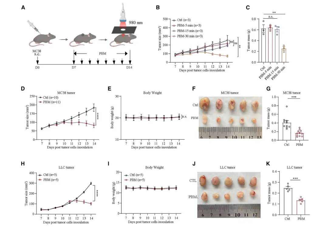 Una soluzione rivoluzionaria a livello globale per il trattamento del cancro! Terapia antitumorale laser innovativa: la ricerca di Fotonmedix pubblicata su una rivista affiliata a Cell (7 immagini)