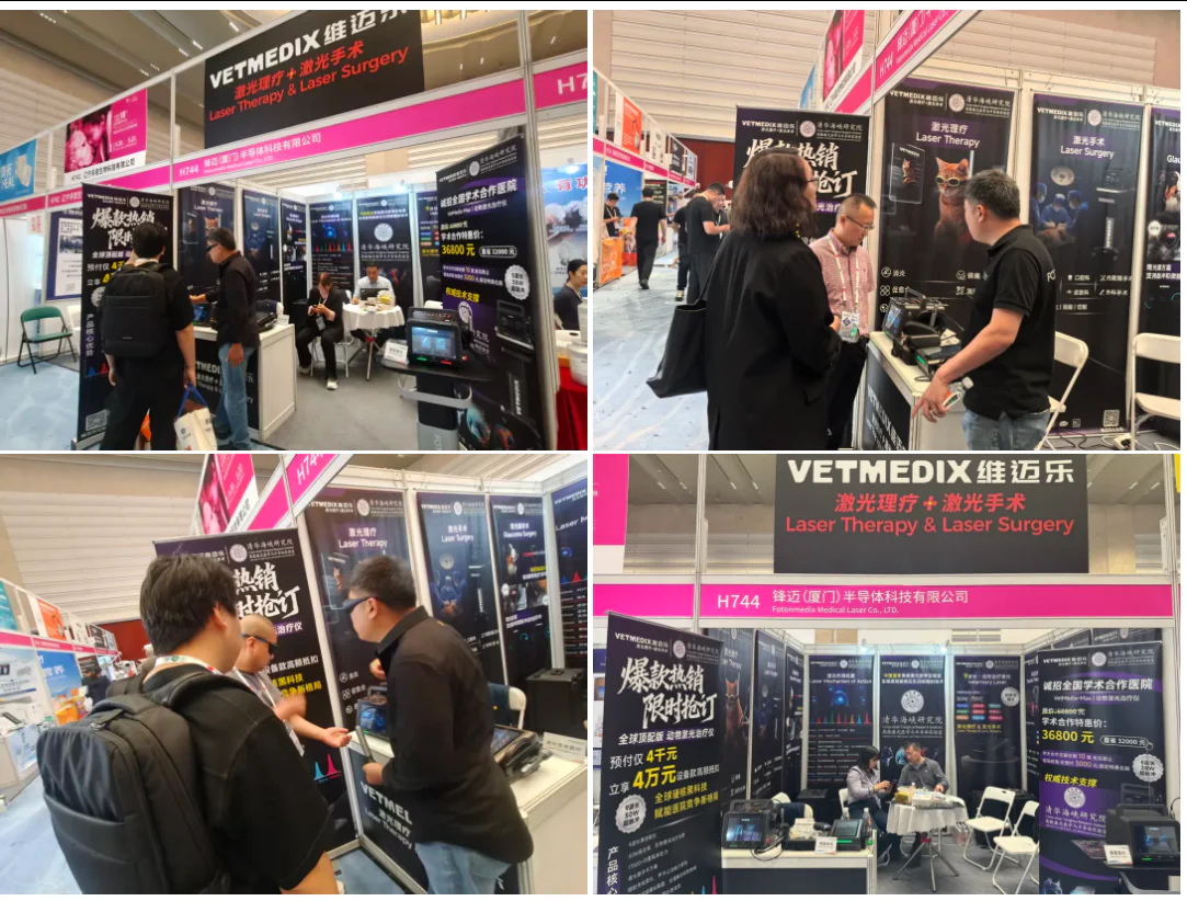 Un gran finale! VetMedix presenta sistemi laser veterinari di livello mondiale alla 18ª edizione del WESAVC (2 immagini)