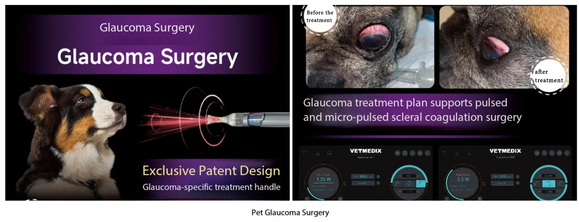Un gran finale! VetMedix presenta sistemi laser veterinari di livello mondiale alla 18ª edizione del WESAVC (3 immagini)