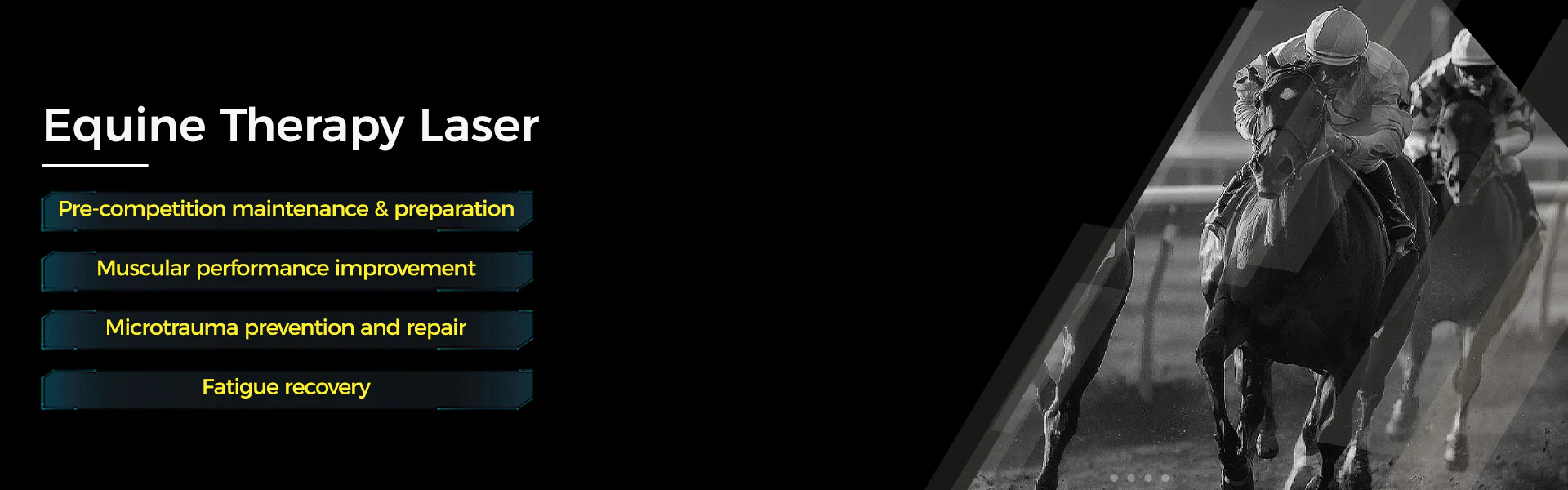 Banner5