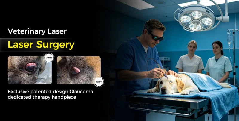Laser therapy3