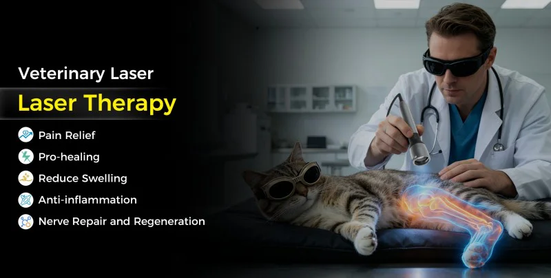 Laser therapy4